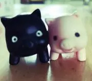 ままゆの画像