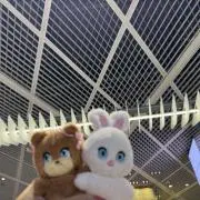 rion