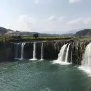 もっちゃんの画像