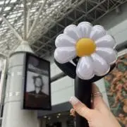 ｎｅｒｏｌｉの画像