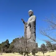 IKOKAの画像