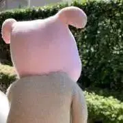 踊るぶた子の画像