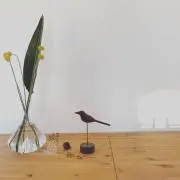 ごろちゃんの画像