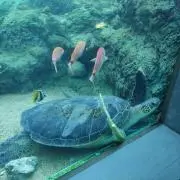 あきこの画像
