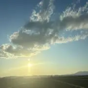 Yuの画像