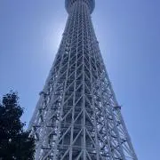 アリーンの画像