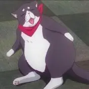 ポンの画像