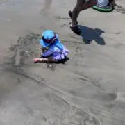 莲