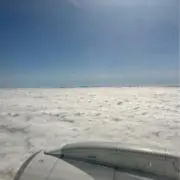 ゆーく