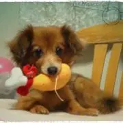 AYUUPY