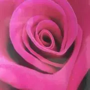 こはる(❁´ω`❁)の画像
