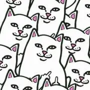 MM8の画像