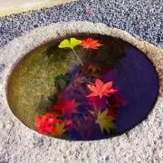 おさーるの画像