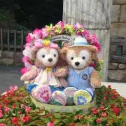 ムサ&ダフの画像