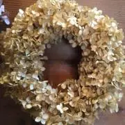 kyoの画像