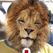 カナタロ【プロフ読んで下さい】の画像