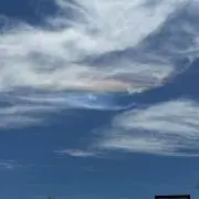モアナの画像