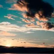 369《即発送します‼︎》の画像