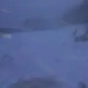 Tr