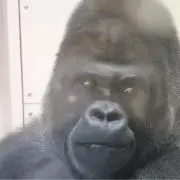 うづきの画像