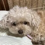 ☆ひろみママ☆コンビニ払い⭐️不可⭐️の画像
