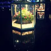 みー♡