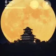 もっちゃんの画像