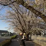 群馬くんの画像