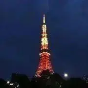 コ コ