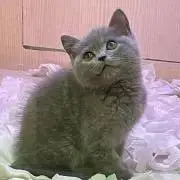 ミノむし♪