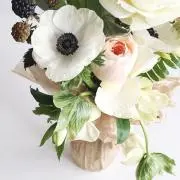 Lapinの画像