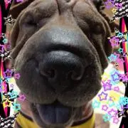 凛