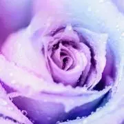 ♡mkj♡