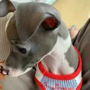 LinA*✭
