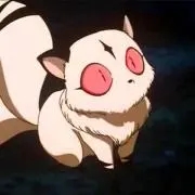 キララ