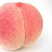 momoの画像