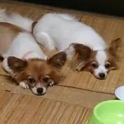 ひろみん☆