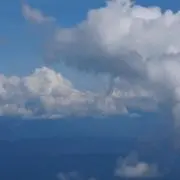 くまの画像