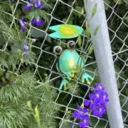 yk          (※プロフ確認)の画像