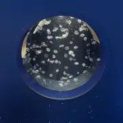 モササウルスの画像