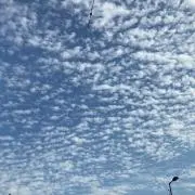 まるの画像