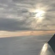 ソラの画像