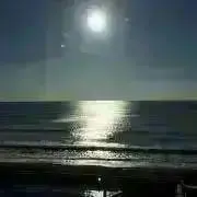 reonyan☆購入前プロフ確認☆の画像