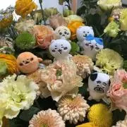 イチゴの画像