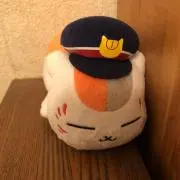 猫機長
