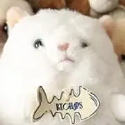 にょの画像