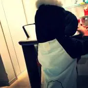kの画像