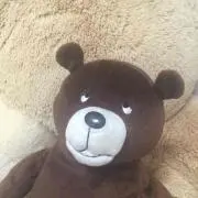 ぺりあの画像