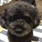 のむ