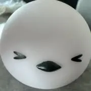 ぽんちゃんの画像